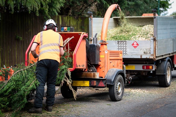 Best Tree Removal Near Me  in Leisure Village West, NJ